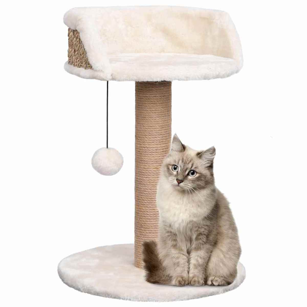 Purrfect Perch Seagrass Cat Tree