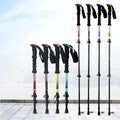 TrailBlaze Telescopic Trekking Pole